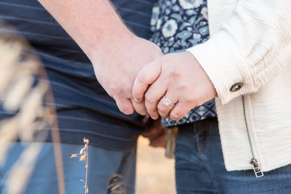 holding hands - Colorado engagement photographer