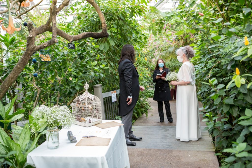 Butterfly Pavilion wedding in the conservatory