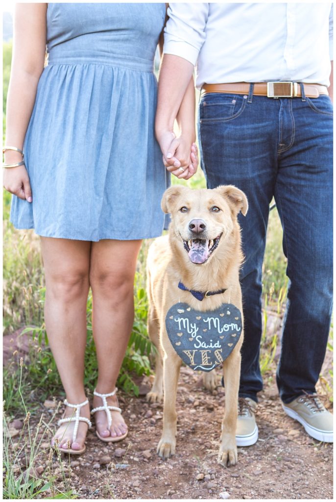 Engagement photographers in Colorado - Couple portraitwith pets