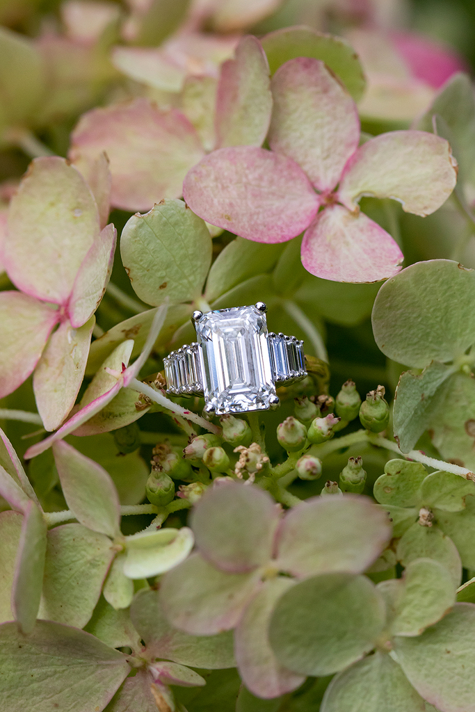 Close up of engagement ring framed by green and purple leaves.