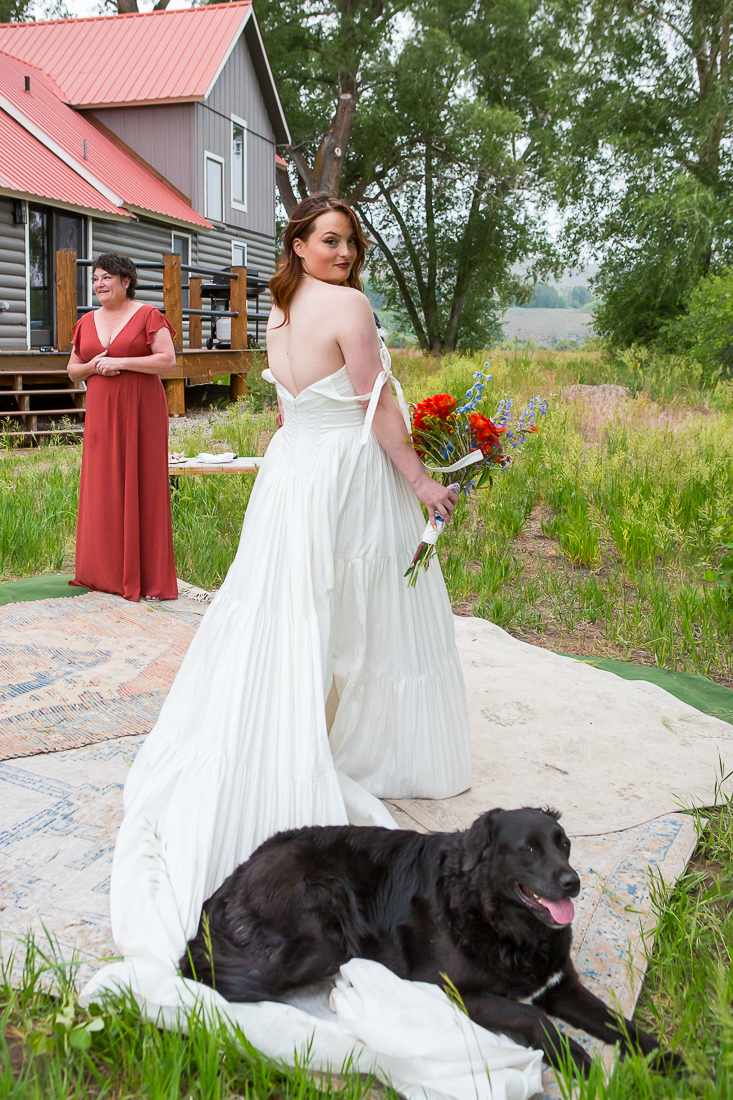 Dog sits on bride's wedding dress and bride looks over her shoulder to smile.