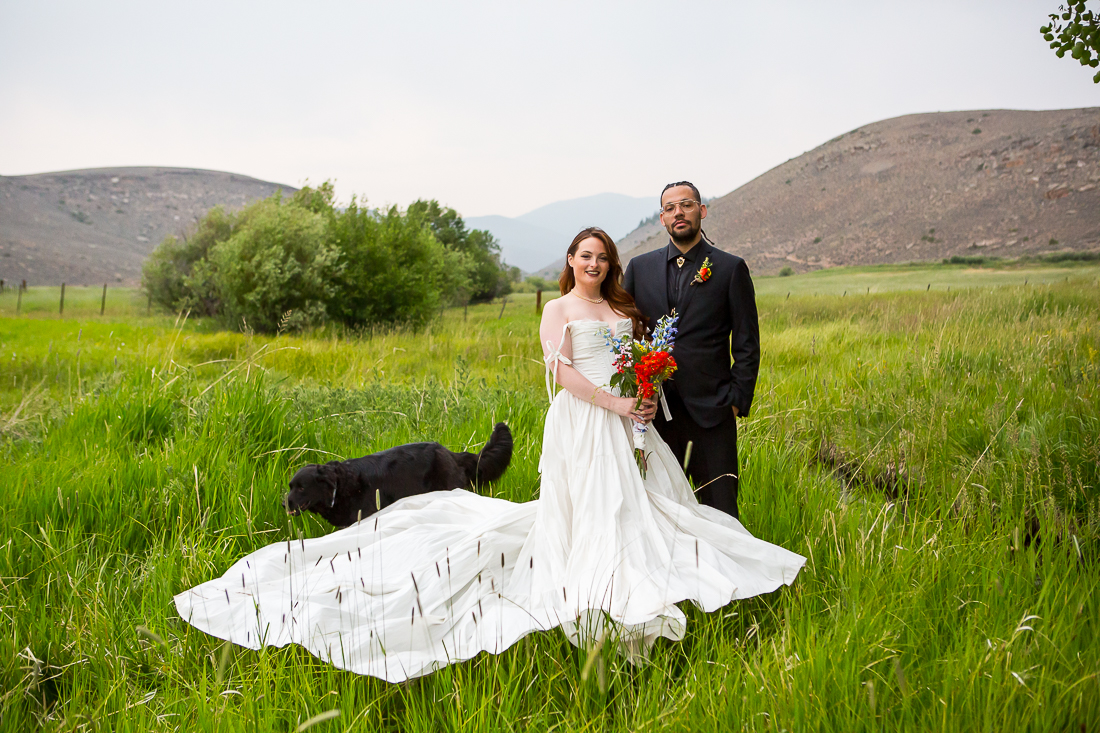 Bride and groom portrait with their dog in a field with tall grass in Colorado.
